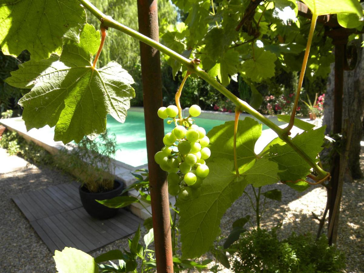 Maison Piloni LʼIsle-sur-la-Sorgue Eksteriør billede